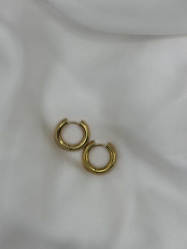DAILY EARRINGS