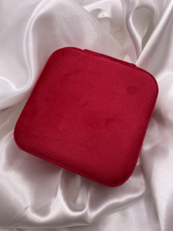 RED VELVET TRAVEL CASE - Image 2