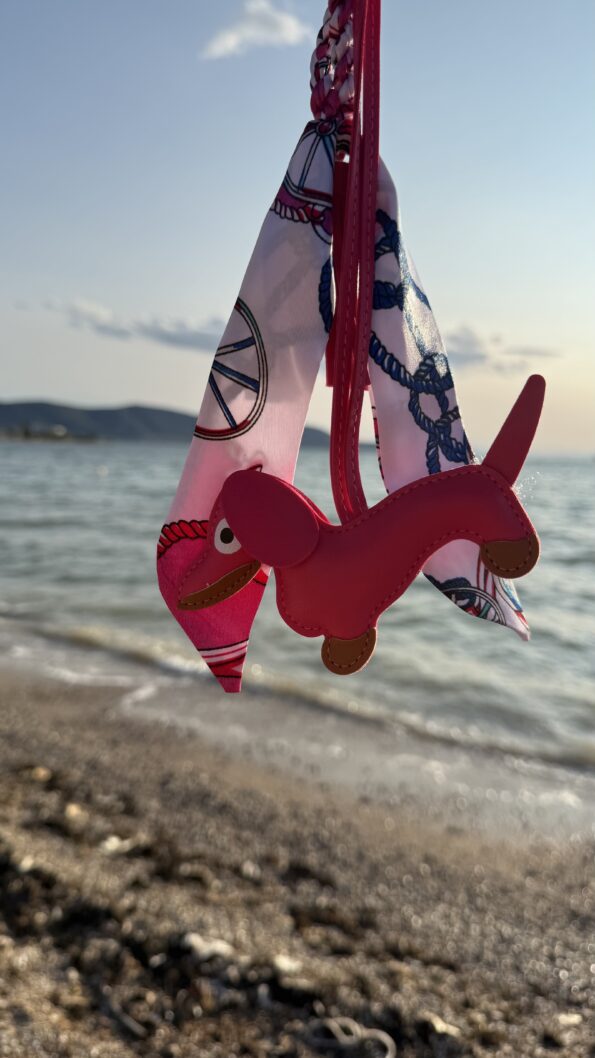 FUCHIA DOG CHAIN